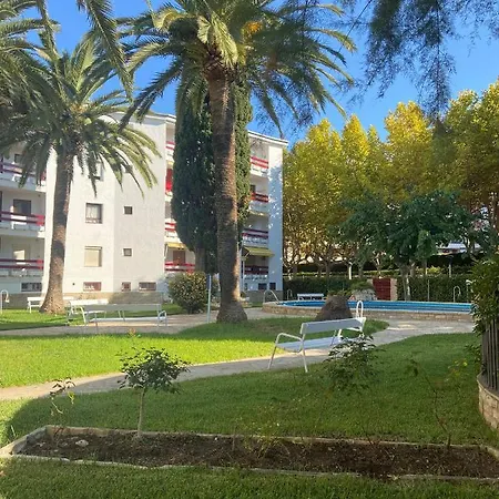 Corcega Palm Beach - Piscina Y Jardin