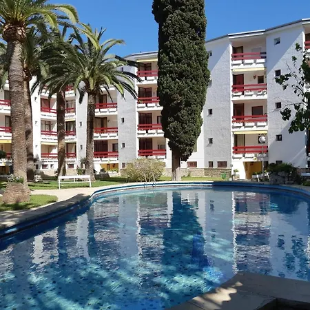 Corcega Palm Beach - Piscina Y Jardin