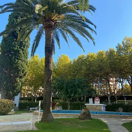 Corcega Palm Beach - Piscina Y Jardin Salou