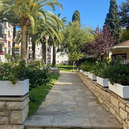 Corcega Palm Beach - Piscina Y Jardin