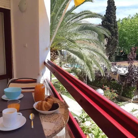 Corcega Palm Beach - Piscina Y Jardin